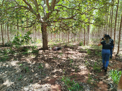 Corpo &eacute; encontrado decapitado e pol&iacute;cia tenta identificar v&iacute;tima