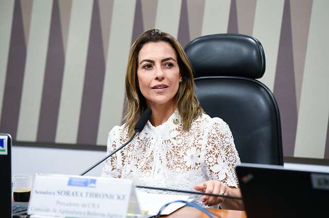 Soraya mant&eacute;m candidatura, mesmo sem apoio de colegas de MS e do partido