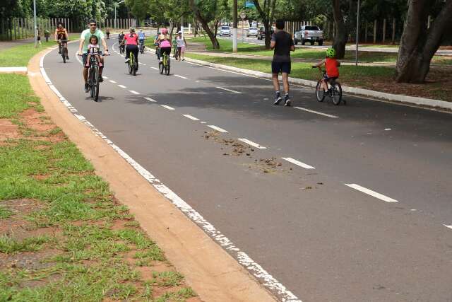 Caos no tr&acirc;nsito e dejetos de cavalo: dif&iacute;cil passear pelo Parque dos Poderes