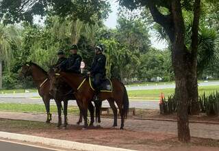 Caos no tr&acirc;nsito e dejetos de cavalo: dif&iacute;cil passear pelo Parque dos Poderes