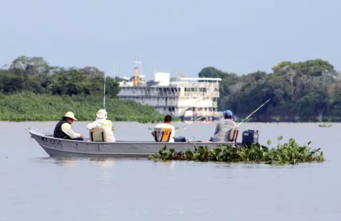 Lista da &ldquo;cota zero&rdquo; protege esp&eacute;cie que n&atilde;o existe em MS a peixes invasores