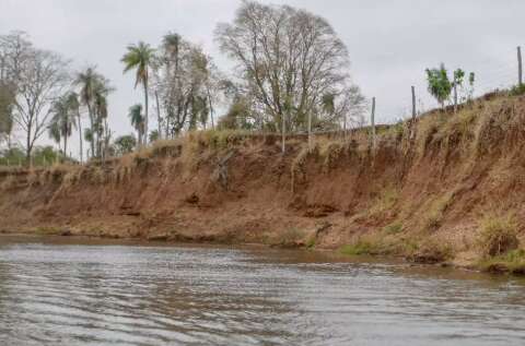 S&oacute; 23% dos R$ 400 mil em multas por desmatamento em margem dos rios foram pagos