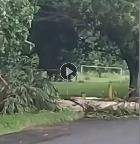 Forte temporal atinge fronteira com Paraguai e causa danos