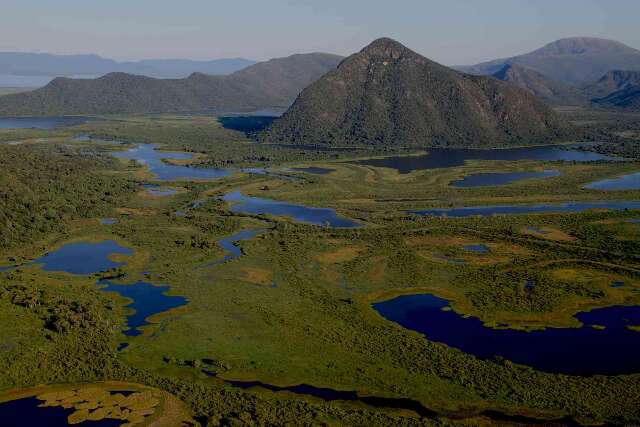 Potencial do Pantanal para projetos de carbono passa de 1,2 milh&atilde;o de hectares