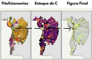 Potencial do Pantanal para projetos de carbono passa de 1,2 milh&atilde;o de hectares