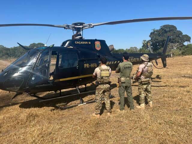 STF d&aacute; 10 dias para PF apresentar cronograma de 2025 contra crimes no Pantanal