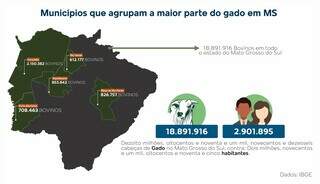 Em MS, para cada habitante h&aacute; 6 cabe&ccedil;as de gado