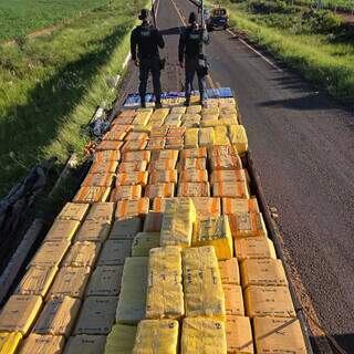 Pol&iacute;cia apreende 6,7 toneladas de maconha estimadas em R$ 12 milh&otilde;es