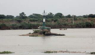 Chove no Pantanal, mas fim da longa estiagem continua sem respostas