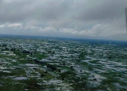 Chove no Pantanal, mas fim da longa estiagem continua sem respostas