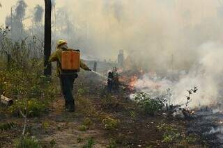 Decreto de Trump suspende parceria para combater inc&ecirc;ndios no Brasil