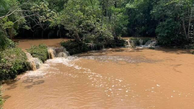 MP j&aacute; multou em R$ 40 milh&otilde;es por desmatamento de mais de 61 mil hectares 