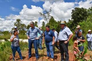 MS inclui agricultura familiar no mercado de cr&eacute;dito de carbono