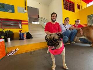 Sele&ccedil;&atilde;o para c&atilde;es dos Bombeiros encanta pela fofura e dedica&ccedil;&atilde;o