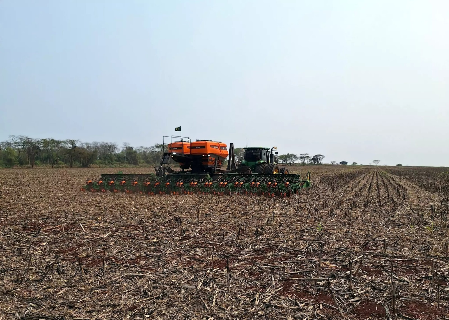 Colheita da soja avan&ccedil;a em MS, mas seca compromete 43% da &aacute;rea plantada