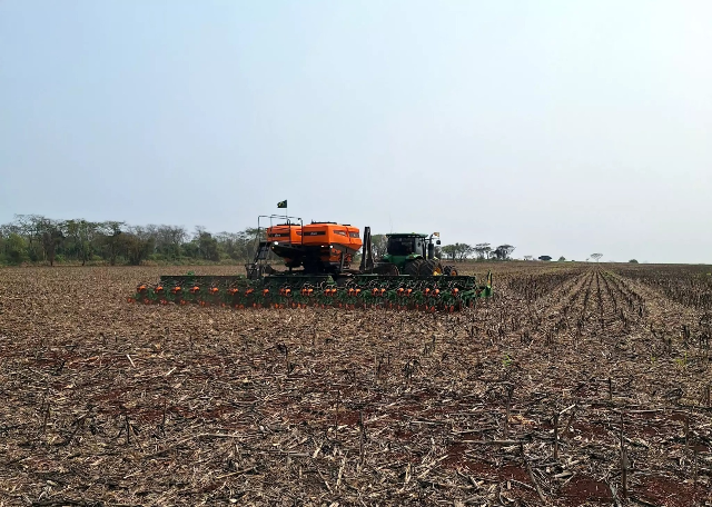 Colheita da soja avança em MS, mas seca compromete 43% da área plantada