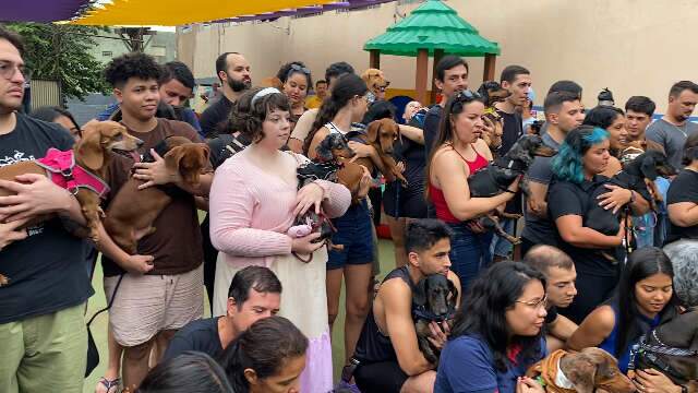 Com open até de picolé, cachorrada curtiu encontro fofo de ‘salsichas’