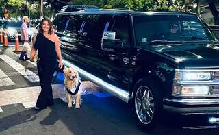 Cachorro estrela de MS chega de limousine e ganha &#039;Oscar&#039; pet