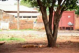 Foragida &eacute; achada morta logo depois de saber que m&atilde;e foi presa