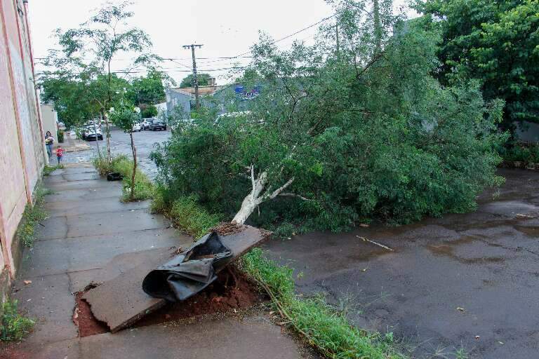 Campo Grande News