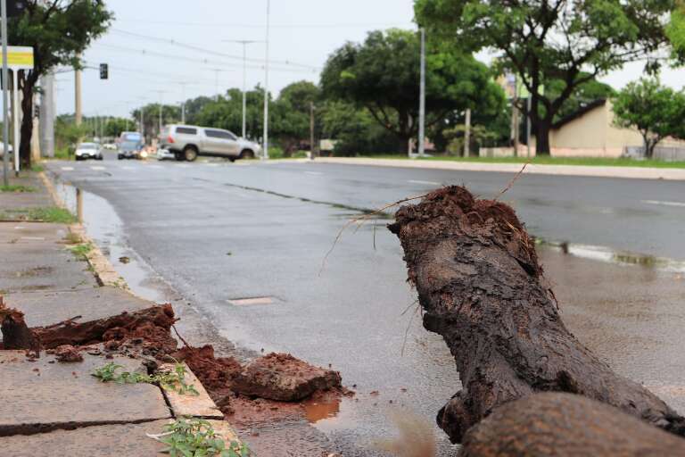 Campo Grande News