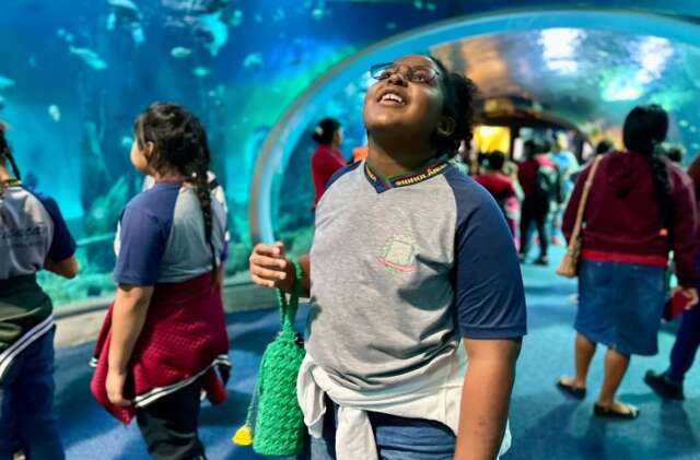 Escolas podem marcar visitas ao Bioparque Pantanal a partir do dia 16