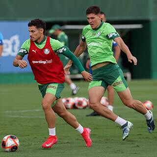 Correndo risco de elimina&ccedil;&atilde;o, Palmeiras encara o Botafogo-SP pelo Paulist&atilde;o