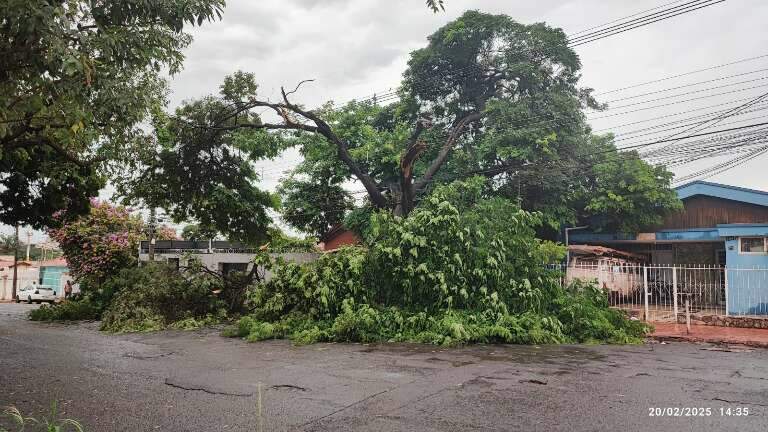 Campo Grande News