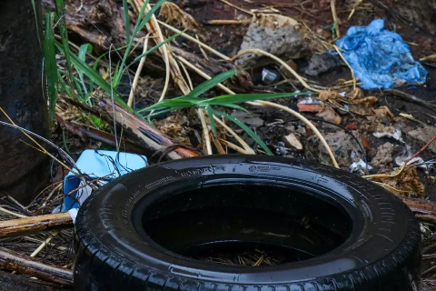 Justi&ccedil;a autoriza entrada for&ccedil;ada em im&oacute;veis para combate &agrave; dengue em Cassil&acirc;ndia