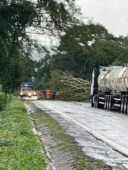 Campo Grande News