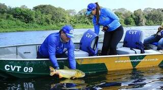 Pesca do dourado pode ser liberada em 2027 e s&oacute; ap&oacute;s estudos t&eacute;cnicos