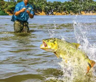 Pesca do dourado pode ser liberada em 2027 e s&oacute; ap&oacute;s estudos t&eacute;cnicos