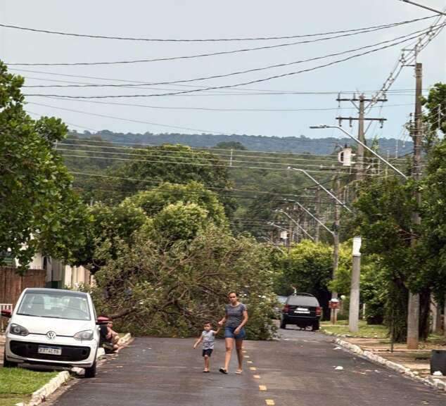 Campo Grande News