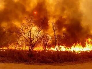 Banda de MS prepara clipe com cr&iacute;ticas &agrave; destrui&ccedil;&atilde;o do Pantanal 