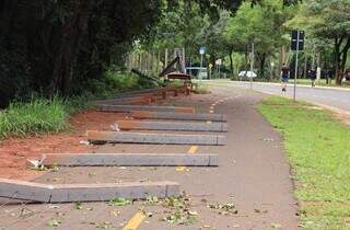 Chuva e vento derrubam &aacute;rvore, que cai e destr&oacute;i cerca no Parque dos Poderes