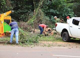 Chuva e vento derrubam &aacute;rvore, que cai e destr&oacute;i cerca no Parque dos Poderes