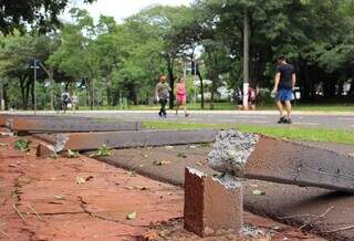 Chuva e vento derrubam &aacute;rvore, que cai e destr&oacute;i cerca no Parque dos Poderes