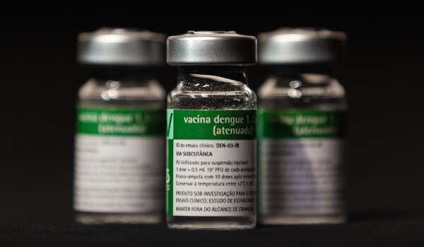 Vacina contra a dengue pelo SUS ser&aacute; para pessoas de at&eacute; os 59 anos em 2026