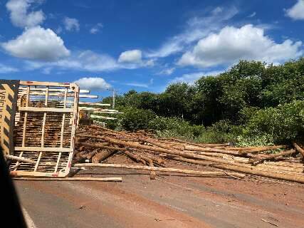 Carreta carregada de eucalipto tomba e interdita trecho da BR-158