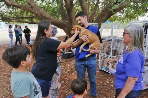 Feira da Bol&iacute;via receber&aacute; feira de ado&ccedil;&atilde;o de pets adultos