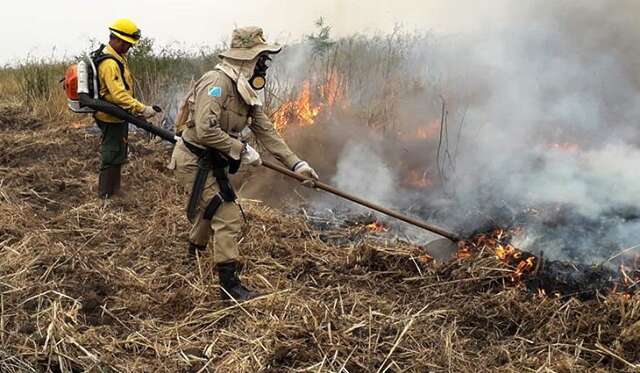 Governo federal decreta emerg&ecirc;ncia ambiental