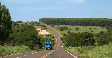 Outrora um deserto, rodovia que passa por Inoc&ecirc;ncia vira &ldquo;rota dos gigantes&rdquo; 