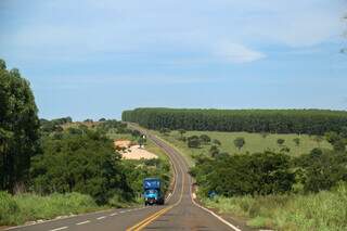 Outrora um deserto, rodovia que passa por Inoc&ecirc;ncia vira &ldquo;rota dos gigantes&rdquo; 