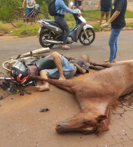 Cavalos soltos causam grave acidente com moto e tumultuam avenida