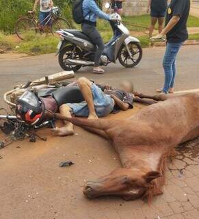 Cavalos soltos causam grave acidente com moto e tumultuam avenida