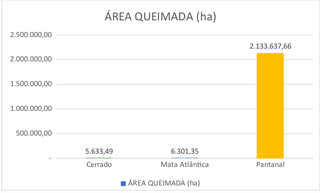 Imasul multou 95 fazendas em R$ 85 milh&otilde;es por queimadas em MS 