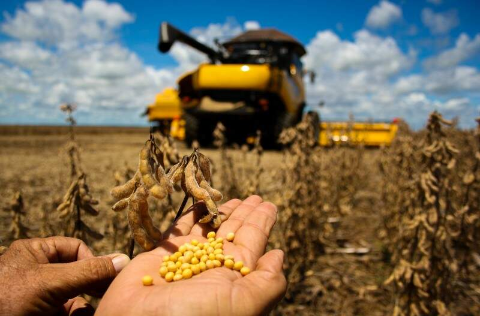 Com 2,2 milh&otilde;es de hectares, MS alcan&ccedil;a 50% da colheita de soja