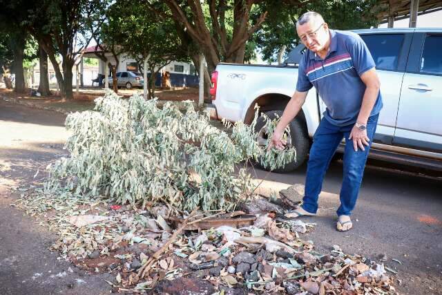 Moradores usam galhos de &aacute;rvore para sinalizar bueiro aberto no meio da rua 