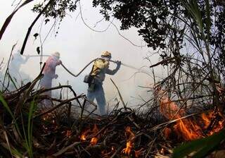 Uni&atilde;o pede repara&ccedil;&atilde;o de R$ 4,5 milh&otilde;es por desmatamento em &aacute;rea pantaneira