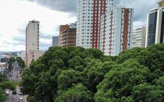 &Aacute;rvores em &aacute;reas urbanas tamb&eacute;m s&atilde;o a solu&ccedil;&atilde;o para combater as &quot;ilhas de calor&quot;